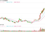 比亚迪435亿港元闪电配售创全球汽车业纪录，股价开盘跌超7%