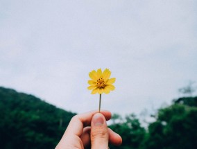 一月三日午后的时光点滴记录