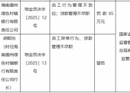 海南儋州绿色村镇银行被罚65万元：员工行为管理不到位 贷款管理不尽职