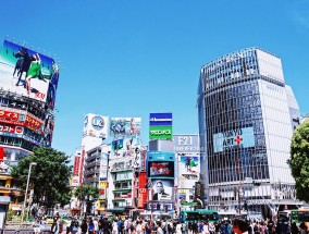 日本强震引发大火，200栋建筑受损严重