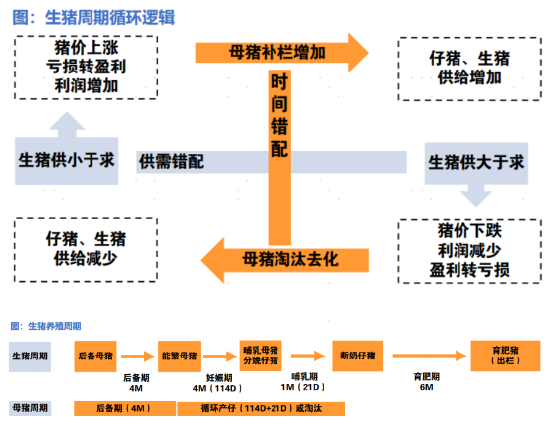 一文读懂2025年消费细分行业分析：是“宝藏”还是“风险”？